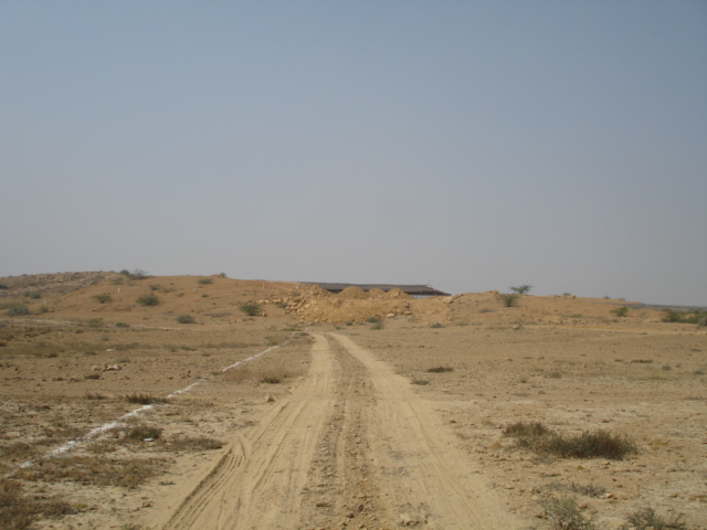 Posted Image