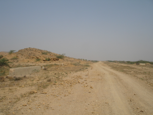 Posted Image