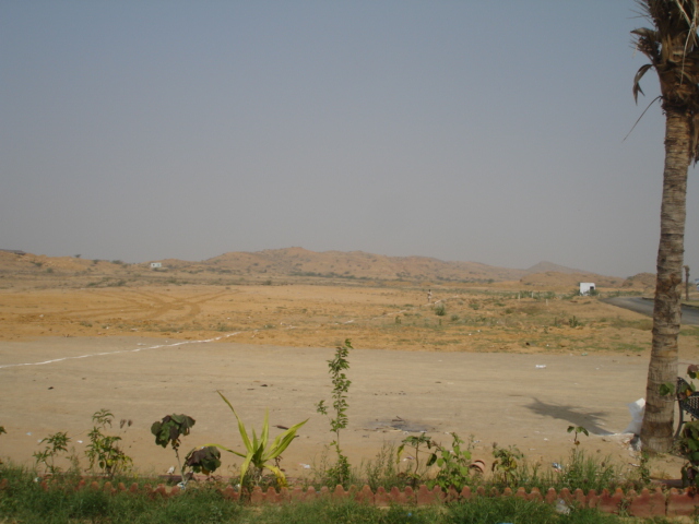 Posted Image